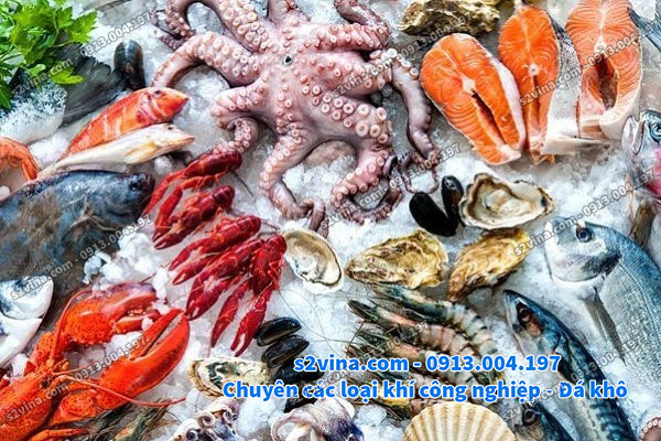 đ&aacute; kh&ocirc; bảo quản thực phẩm đ&ocirc;ng lạnh